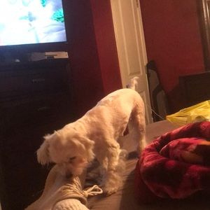 Meet your Posher, Daniel